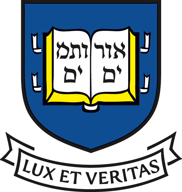 Yale Bulldogs 2006-Pres Alternate Logo DIY iron on transfer (heat transfer)